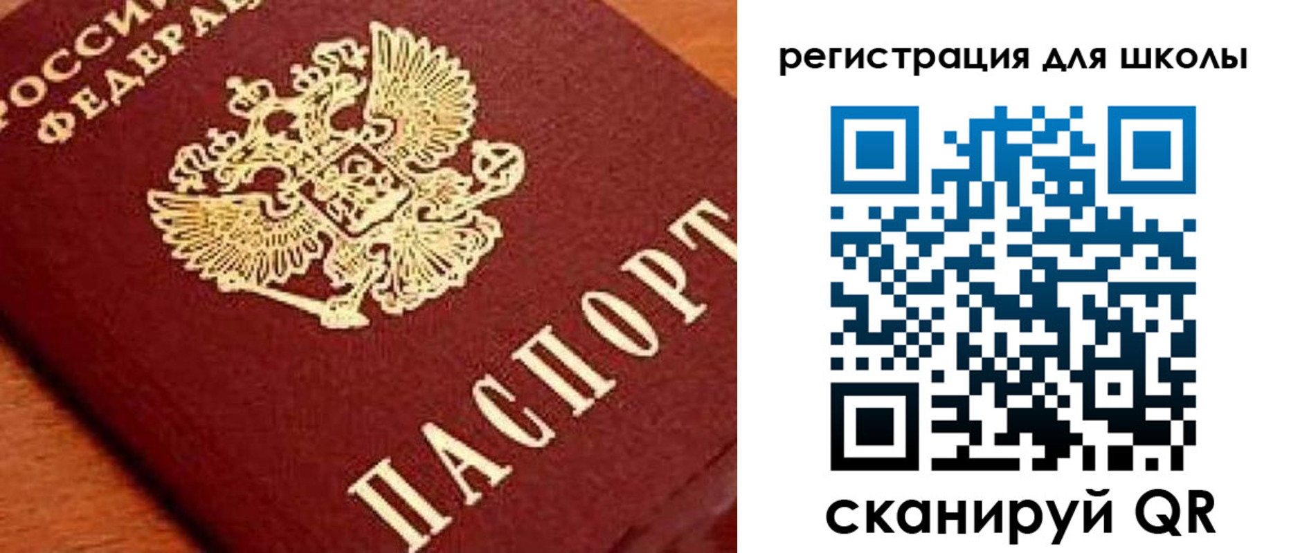 временная регистрация надежно в Мурманской области
